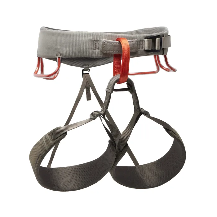 Momentum Harness