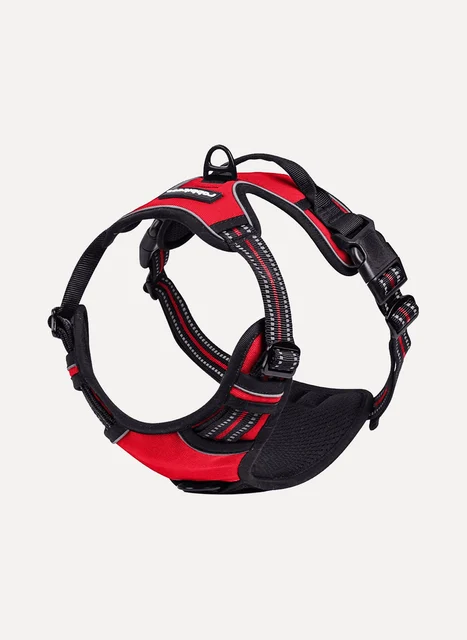 Rabbitgoo Classic Fit No-Pull Dog Harness