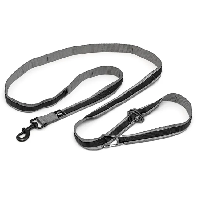 Kurgo Quantum Leash 2.0