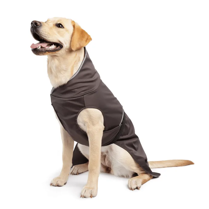 Rainpaw