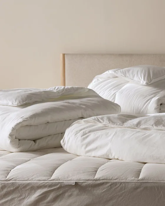 Down Duvet Insert