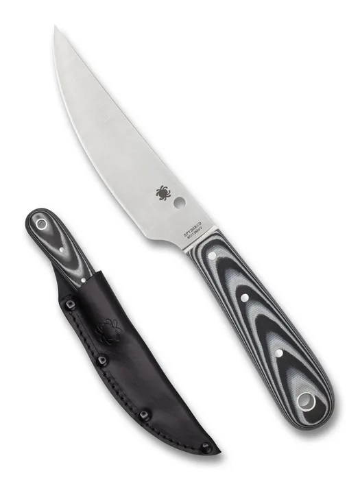 Bow River FB46GP