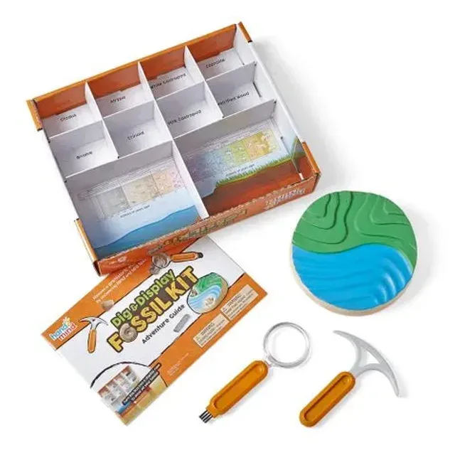 hand2mind Dig & Display Fossils