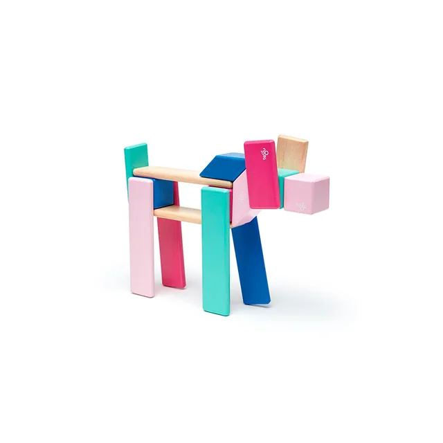 Tegu 24-Piece Magnetic Wooden Block Set