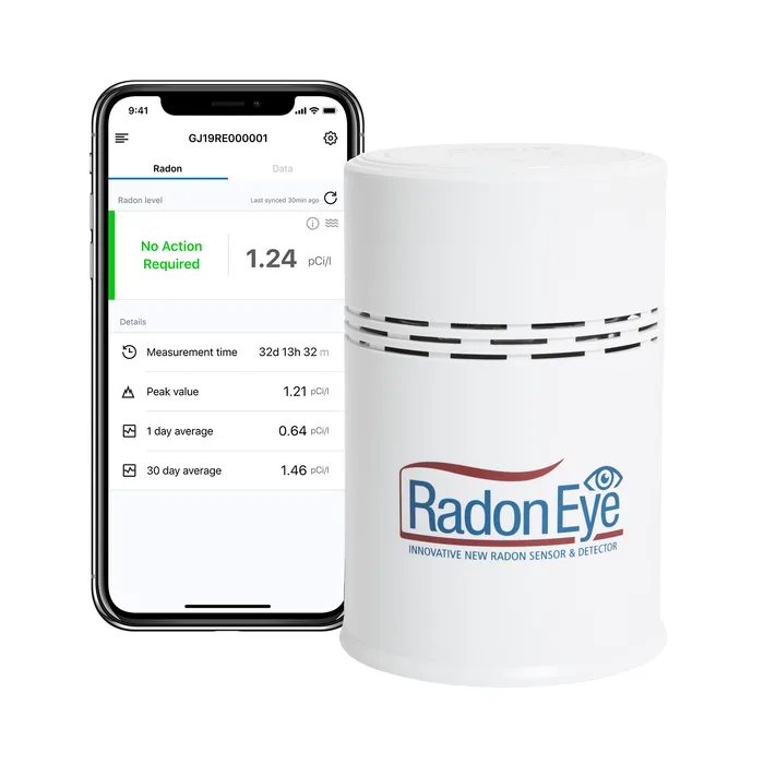 RadonEye - our top pick