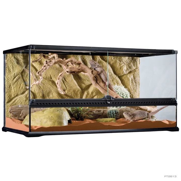 Natural Terrarium Large Wide (PT2613)