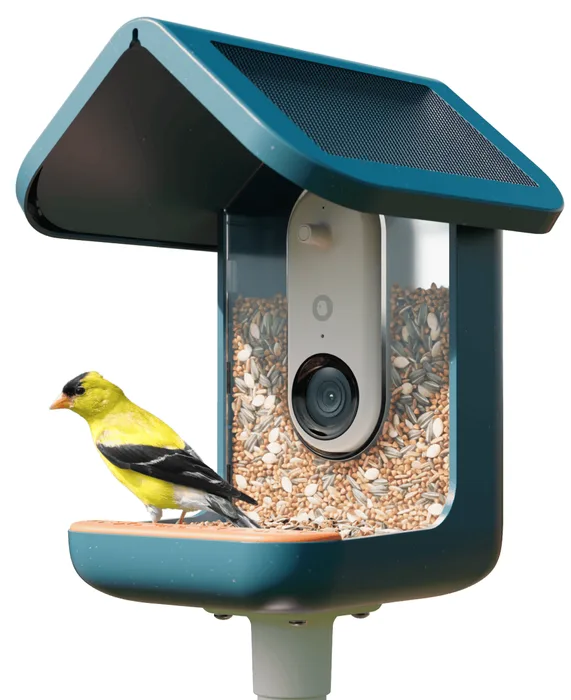 Pro Solar Smart Bird Feeder