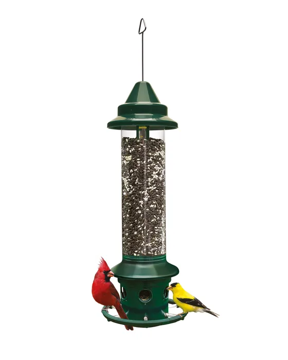 Brome Squirrel Buster Plus - our top pick