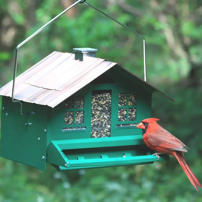 Perky-Pet Squirrel-Be-Gone II Home Style Wild Bird Feeder (Model 339)
