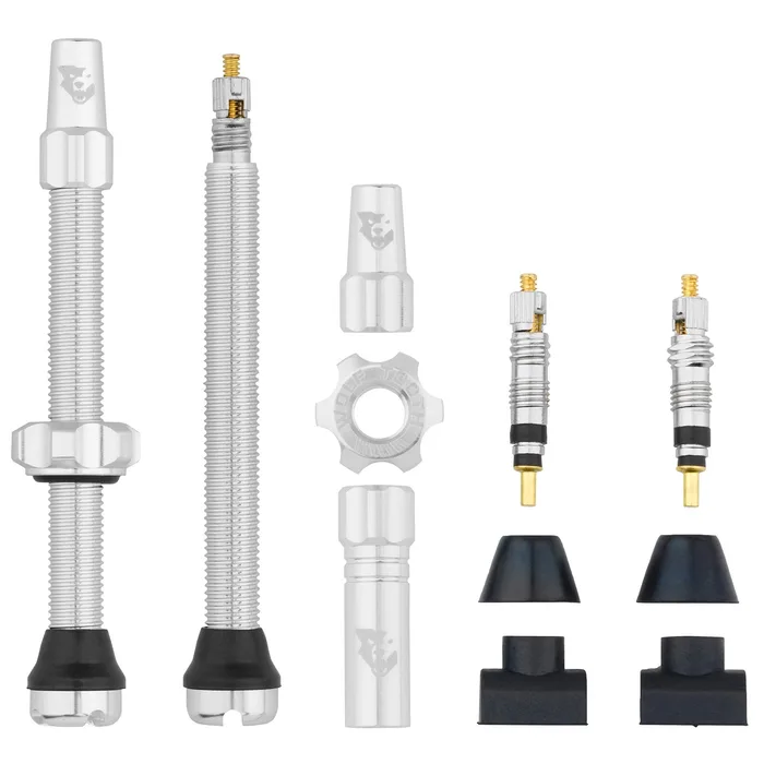 Tubeless Presta Valve Stem Kit - our top pick